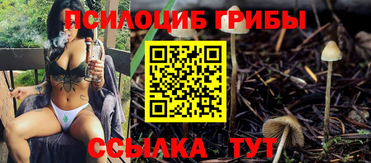 Псилоцибиновые грибы Magic Shrooms  Галлюциногенные грибы MAGIC MUSHROOMS  Саратов  Вход с VPN 
