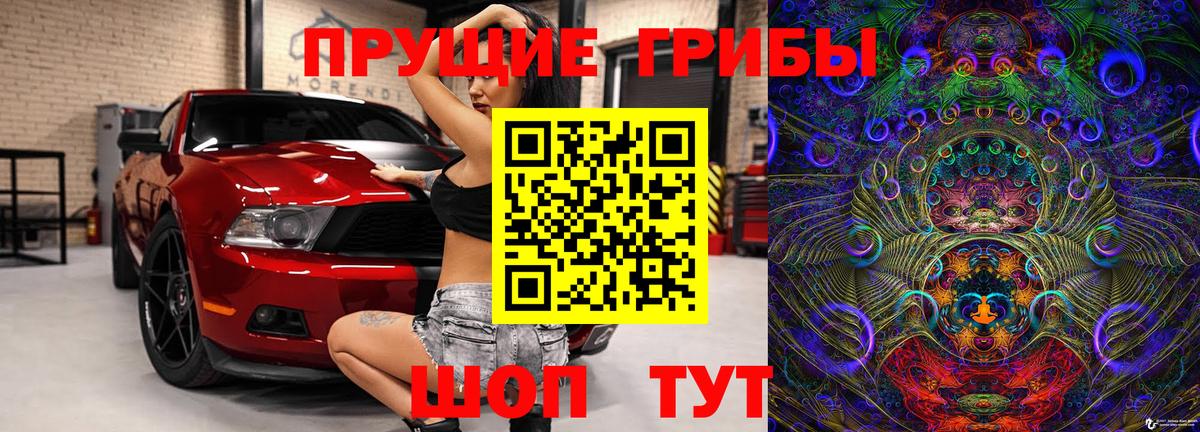 Галлюциногенные грибы Psilocybine cubensis Саратов